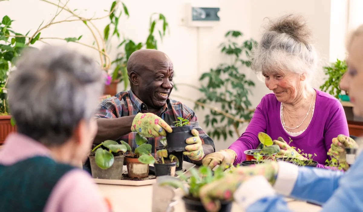 seniors gardening